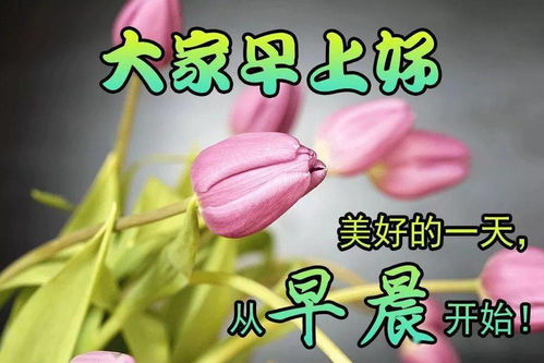 经典秋天早安问候语录问候短信祝福朋友暖心的春天早上好问候动态图片表情