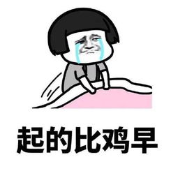 2017年度总结表情包下载2017年度总结表情包图片大全娱乐高清无水印版极光下载站