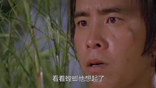 小伙掉落悬崖,模仿一只螳螂,竟意外练成绝世武功,武侠片
