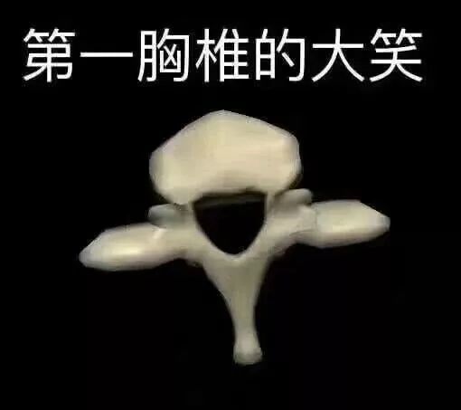 四川高校赏色除了大好春光还有