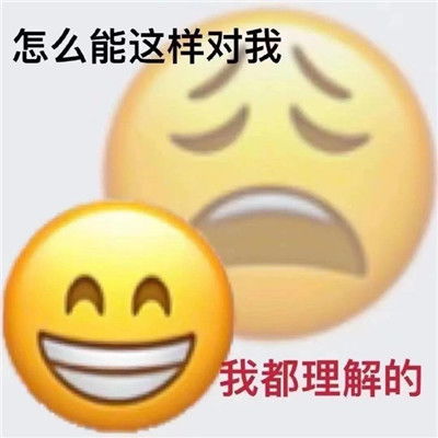 超级有趣emoji双面表情包大全