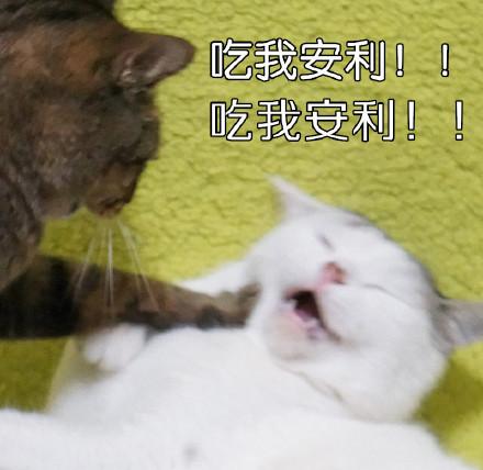 在下的安利永远没人吃系列之韩剧信号