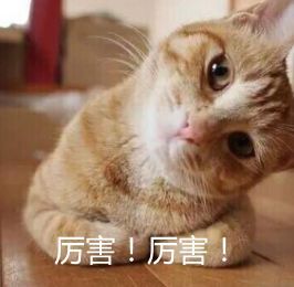 90的人都不知道的手机神操作