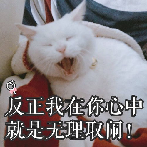 求喵喵桑的问号表情包,顺便来几张mms其他表情包