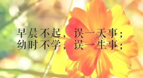 202408月25日星期日农历甲辰年七月廿二幸福满满好运连连