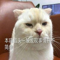 事情不简单表情包微信头像图片大全