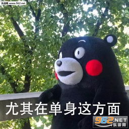 不要老是否定自己熊本熊图片不要老是否定自己表情包下载乐游网游戏下载