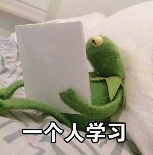 假期的真实状态