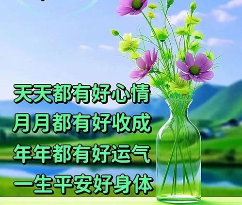 微信的每日问候,简单却甜满每一天