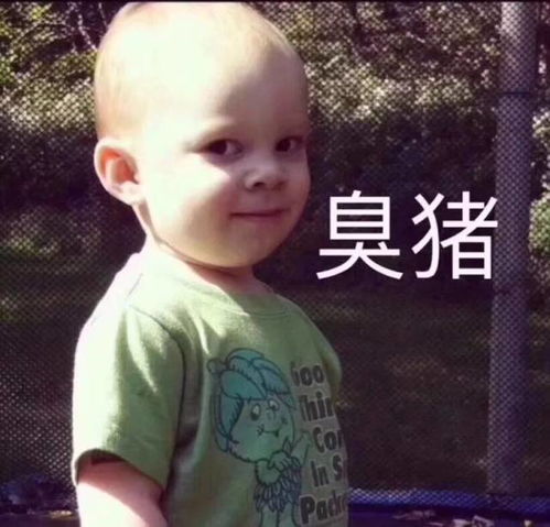 谁说猪都好吃懒做,表情包里的它们简直是万能萌神