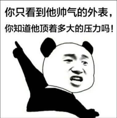 熊猫头表情包i你到底要我说几次