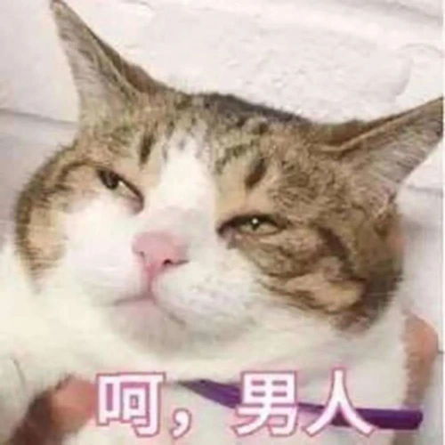 预备方案3选1但nba想要恢复还有九九八十一难