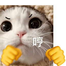 小动物打拳gif搞笑表情精选