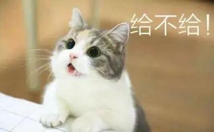 的表情包可爱抖音