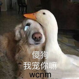他曾男女通吃把女友变成姐妹,如今深陷直男陷阱无法自拔