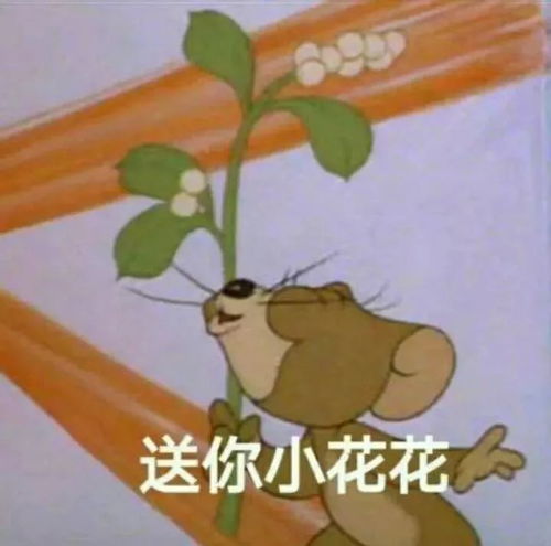 托福那些事托福和gre先考哪一个