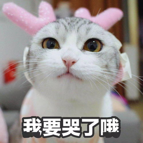 抖音热门潮图表情i摸你屁股
