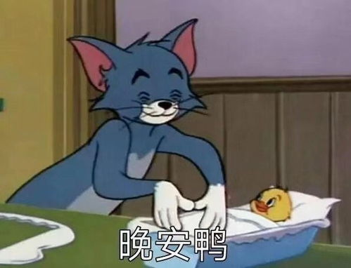 萌宠表情包你凶什么凶鸭