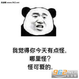 表情包表白套路