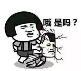 2017最新网红表情包出炉啦够你笑一年了