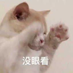 文明城市十大恶人出炉你猜排名第一是谁文明动态