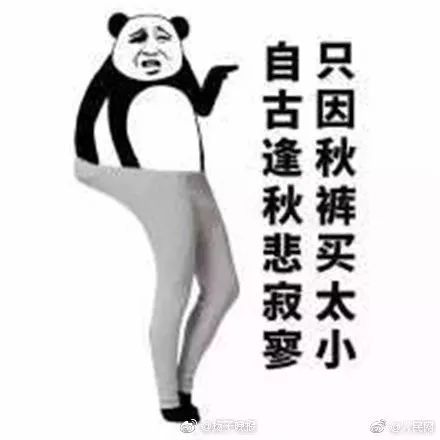 6.6厦门今起强冷风冰冻雨最低温暴虐后面的更让人崩溃