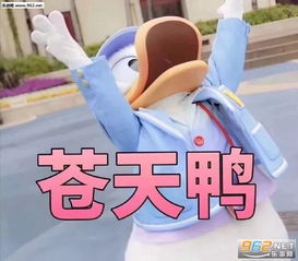 寻找护胃潮人保胃大作战,敢不敢来挑战