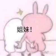 破产姐妹表情包表情包