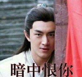 微博像个高仿号怼遍整个娱乐圈林狗我恨