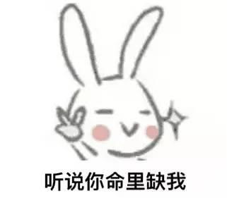 斗图表情包一个人的寂寞,整个群的错