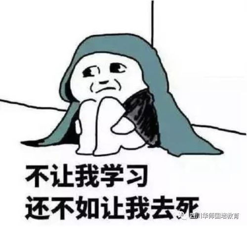 8万的蒂芙尼毛线球贫穷又一次限制了我的想象力
