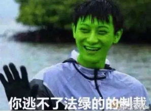 他人气与鹿晗吴亦凡比肩,父亲是中国著名剑客,如今他成中韩巨星