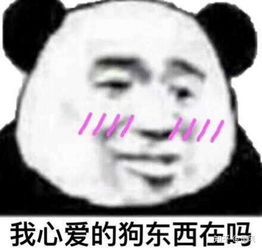 不知道为什么看到那些一个个堪称奇才的
