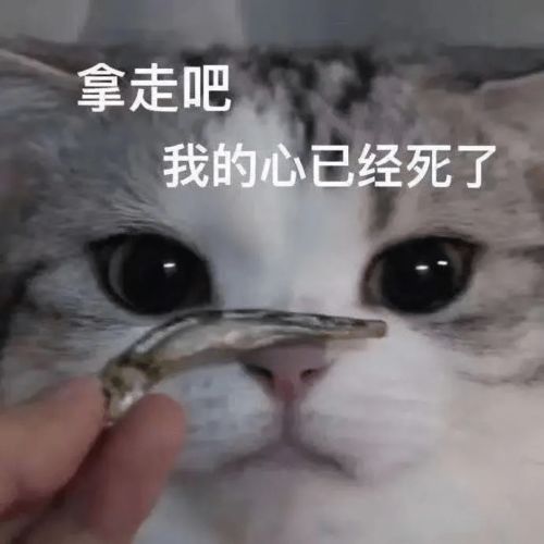 为什么你吃很少却一直瘦不下来