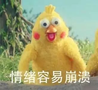钟奇说耶的表情包灰狼
