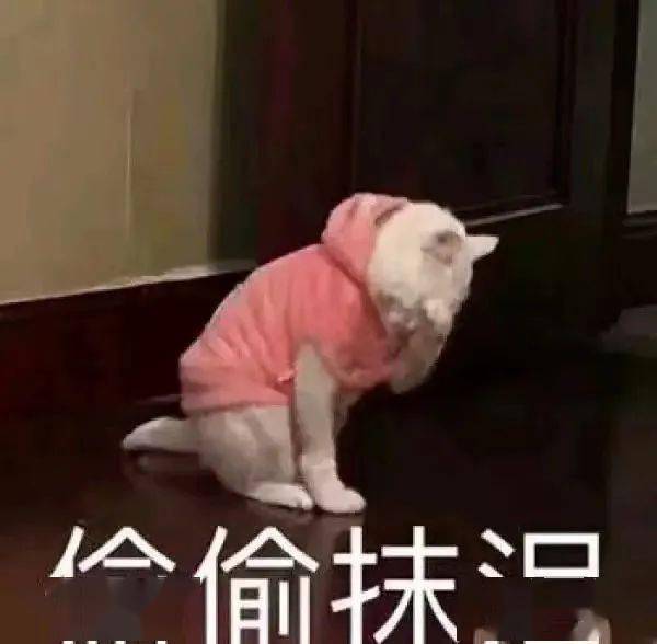 揭秘b站顶流up主收入几个郑爽