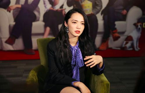 她拒绝出演都挺好姚晨接手后也坦言想放弃,没想到居然火了