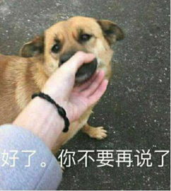 用了这些表情包,我瞬间就把天聊死了