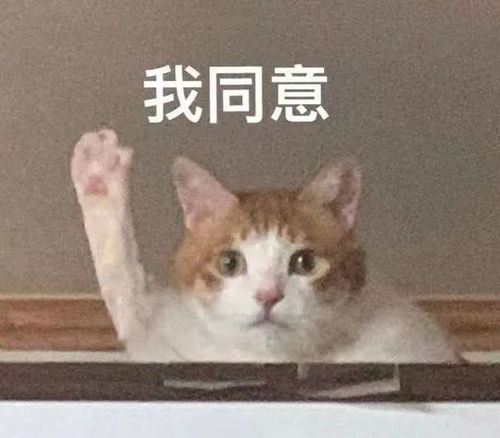 留学新潮流这些小众且高性价比的留学国家了解一下