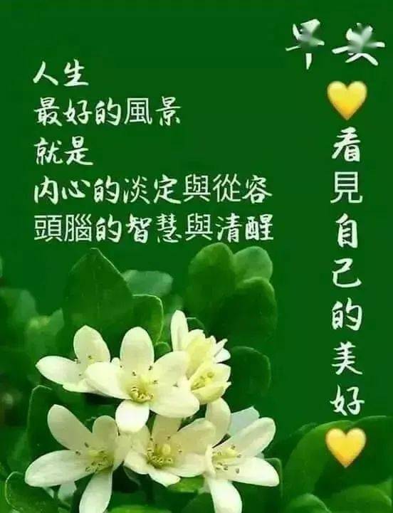 关心朋友的早上好祝福表情,感谢你陪我走过每一个日子