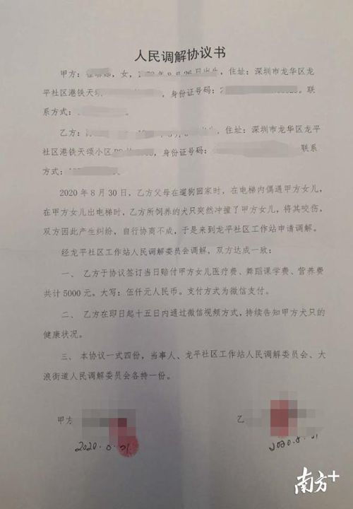 宠物狗咬伤小孩被摔死警方已介入调查
