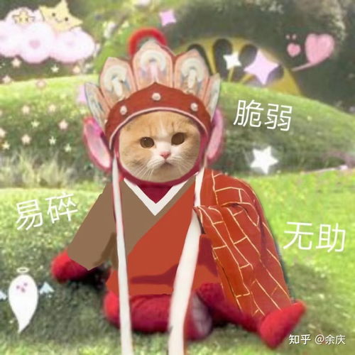 如果你穿成仙侠文修仙中的恶毒女配怎么办