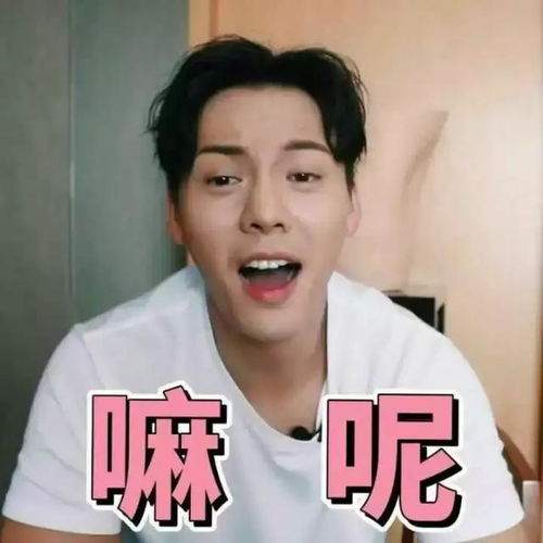 陈伟霆,这只大可爱有点意思