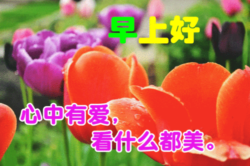 12月14日最漂亮早上好动态表情图片大全,早晨好动图美图大全