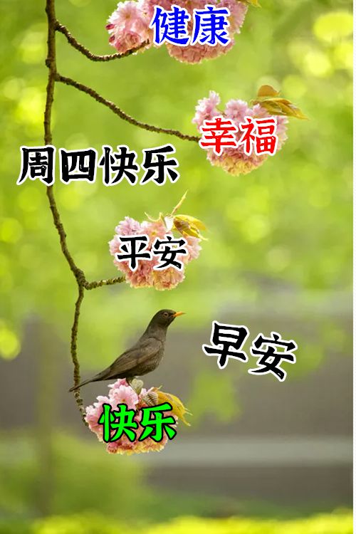 夏季到了周四早上好动图表情包夏季早安问候语图片大全祝福带字