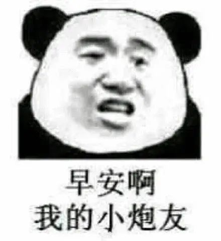 熊猫头表情包你是书吗怎么越看越想睡