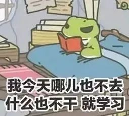 轻松搞定词汇量,这款词典笔一秒识别65万英汉词汇