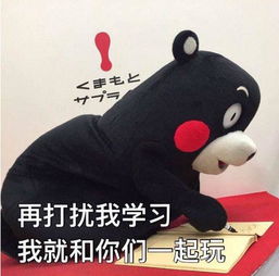 海盗表情包学习