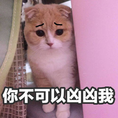 有什么适用于和老公男票撒娇的可爱表情包