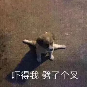 微信杜蕾斯表情包高冷